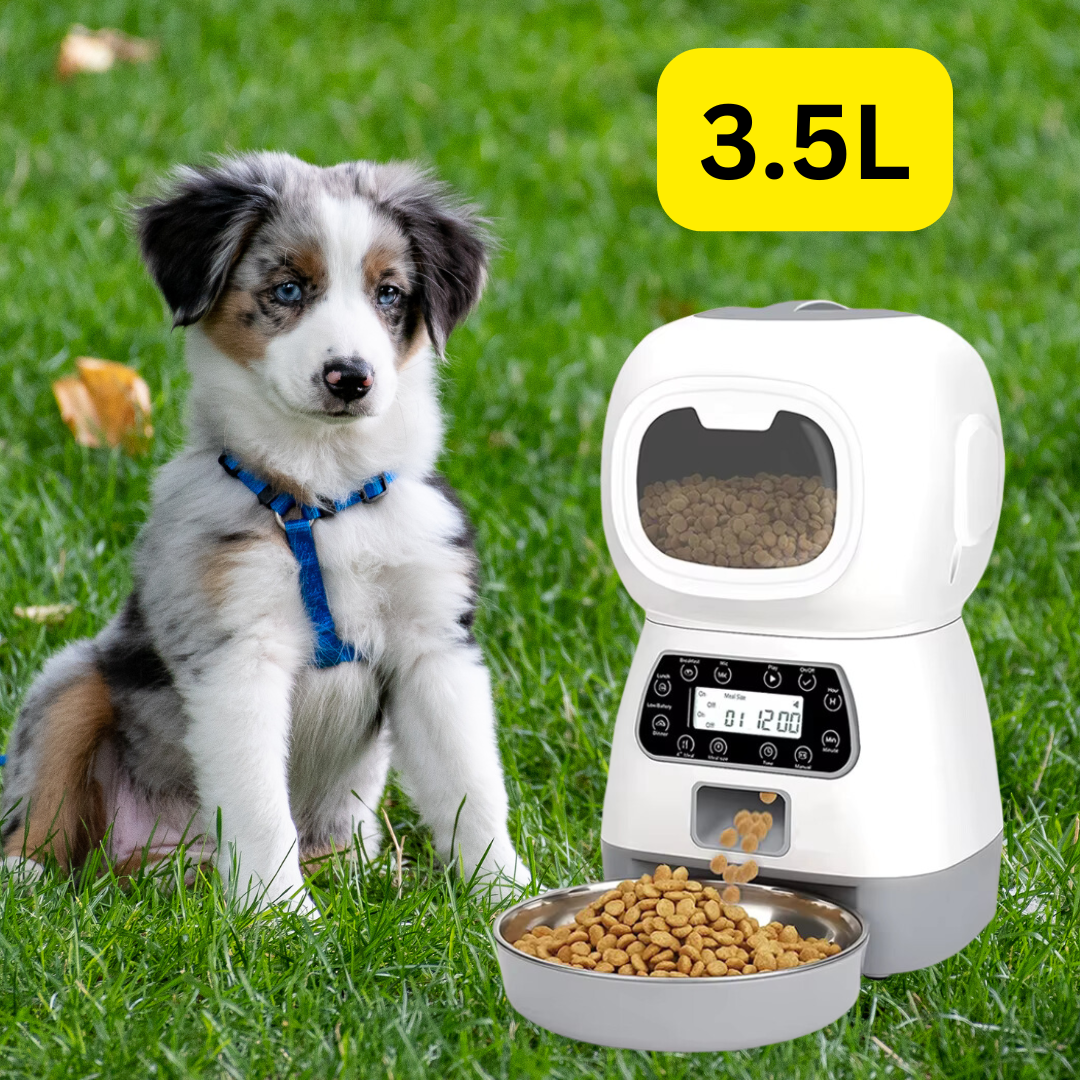 3.5L Smart Pet Feeder: Automatic Food Dispenser for Dogs and Cats with Timer and Water Fountain.