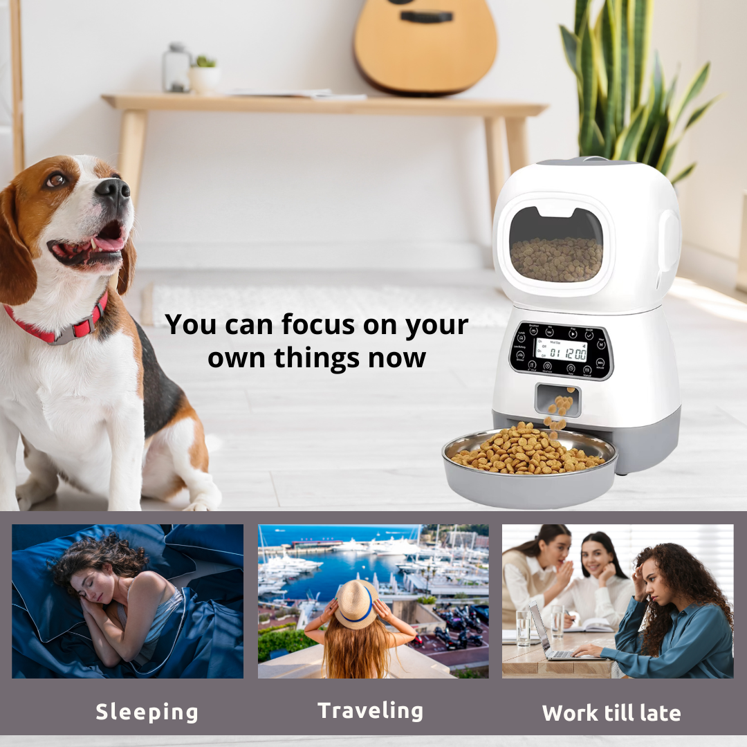 3.5L Smart Pet Feeder: Automatic Food Dispenser for Dogs and Cats with Timer and Water Fountain.