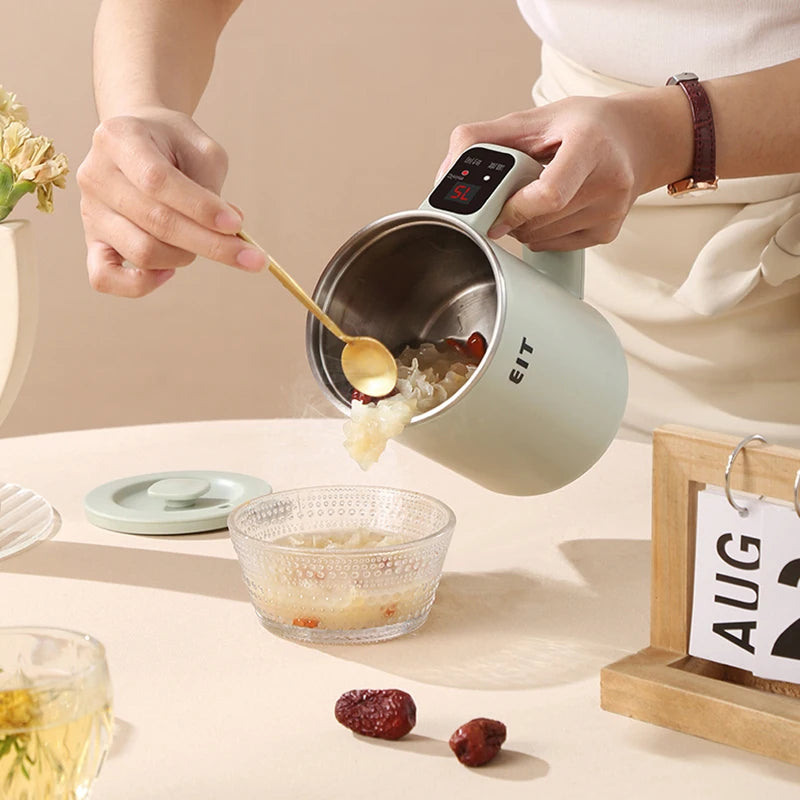 800ml Mini Electric Kettle & Tea Pot | Temperature Control