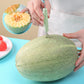 2-in-1 Stainless Steel Melon Baller & Fruit Carving Tool