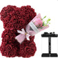 25cm Rose Bear in Gift Box