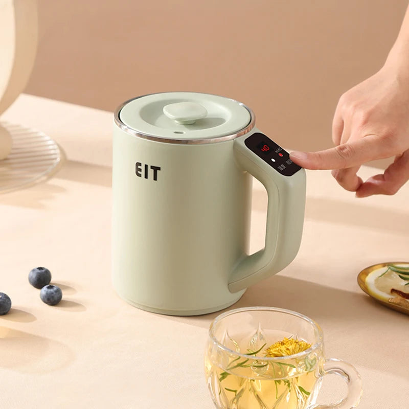 800ml Mini Electric Kettle & Tea Pot | Temperature Control