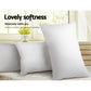 Giselle Bedding Set of 2 Goose Feather and Down Pillow - White