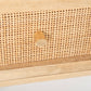 Martina Bedside Table 1 Drawer Storage Cabinet Solid Mango Wood Rattan